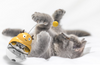 PawsFun™ – Der ultimative Spielball für Katzen!